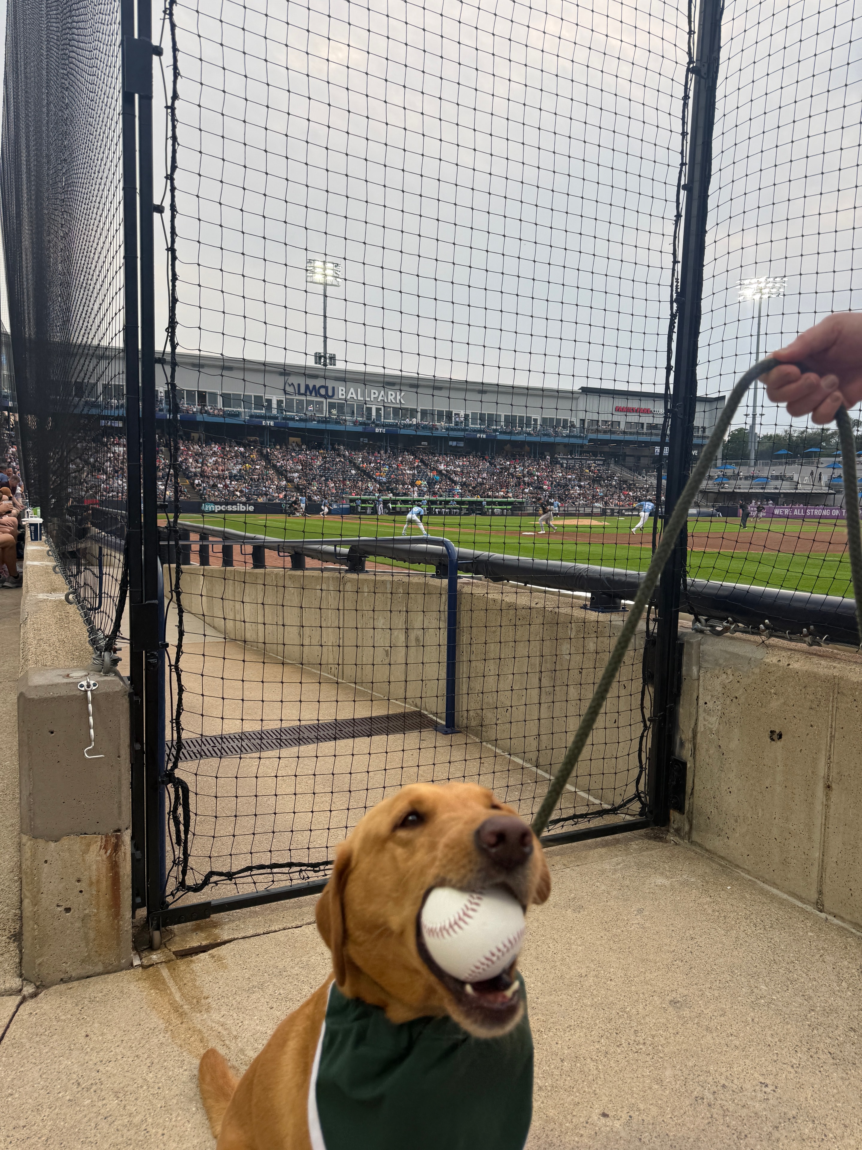 Zeke holding a baseball at LMCU Ballpark