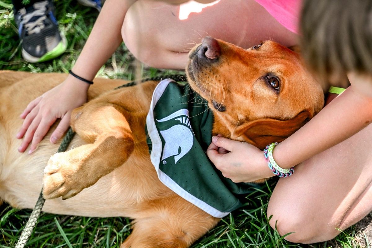 Zeke the WonderDog being celebrated by fans